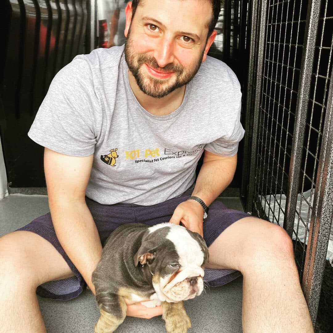 Pet relocation services