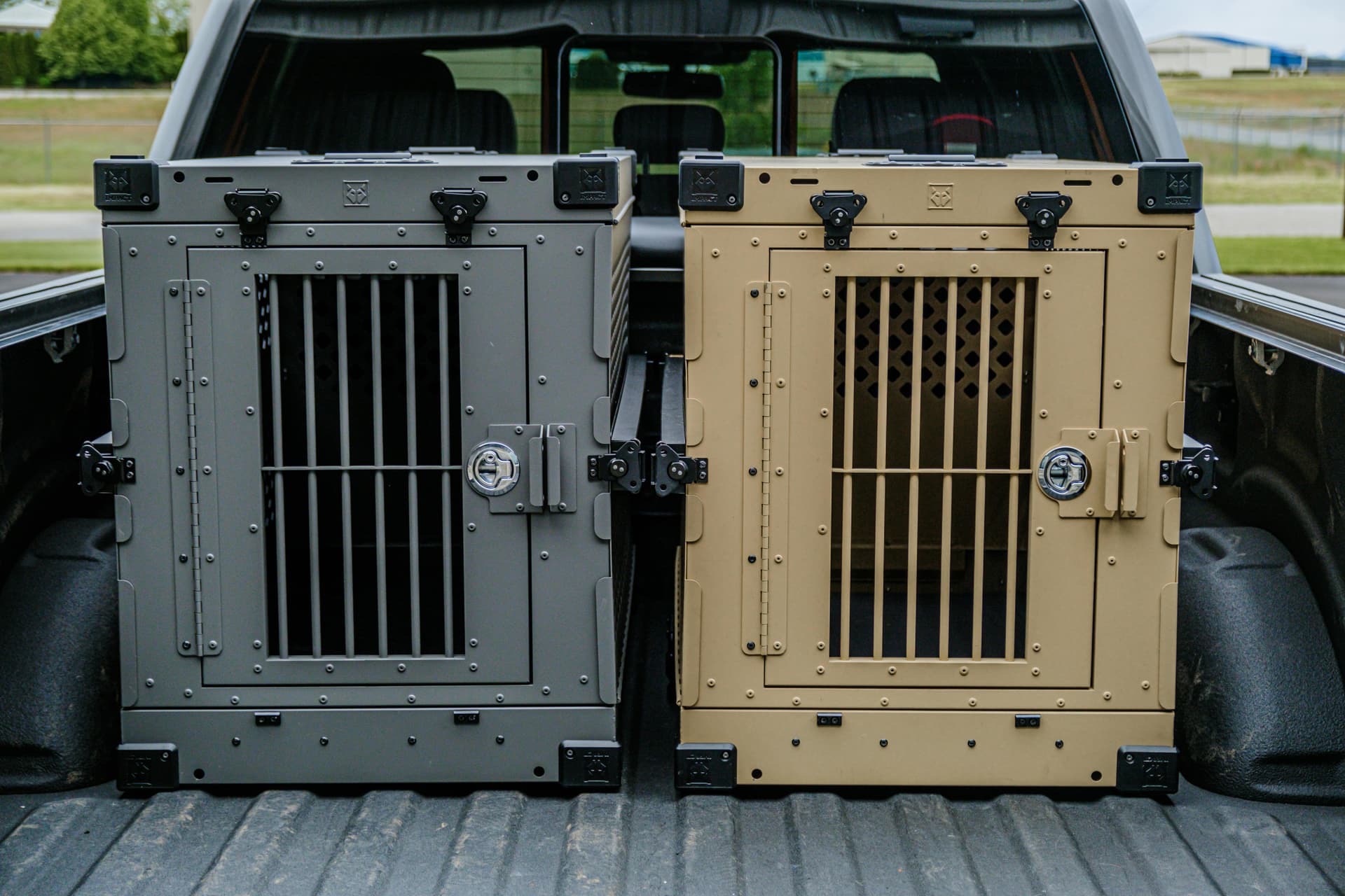 Pet Transport Services