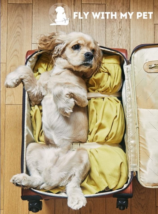 Book Your Pet's Journey